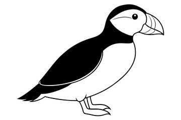 puffin bird line art silhouette vector illustration