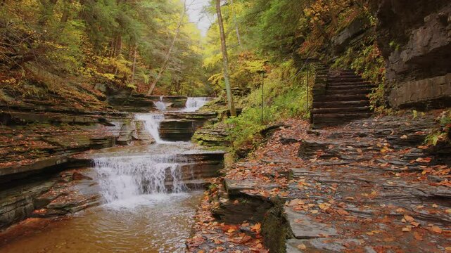 Experience a 4K shot of vibrant autumn leaves in Buttermilk Falls State Park, Ithaca, NY with brilliant fall colors transforming the woodland into a picturesque autumn paradise