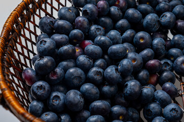 Blueberry antioxidant organic superfood forest berry