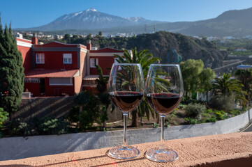 Wine making on bodegas wineries on volcanic soils of Mount Teide in Ycoden-Daute-Isora wine region...