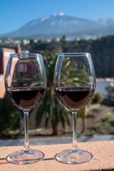 Wine making on bodegas wineries on volcanic soils of Mount Teide in Ycoden-Daute-Isora wine region...