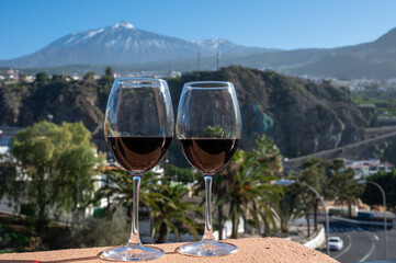 Wine making on bodegas wineries on volcanic soils of Mount Teide in Ycoden-Daute-Isora wine region on Tenerife, Canary islands winter sun vacation, Spain