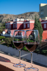Wine making on bodegas wineries on volcanic soils of Mount Teide in Ycoden-Daute-Isora wine region...
