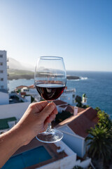 Wine making on bodegas wineries on volcanic soils of Mount Teide in Ycoden-Daute-Isora wine region...