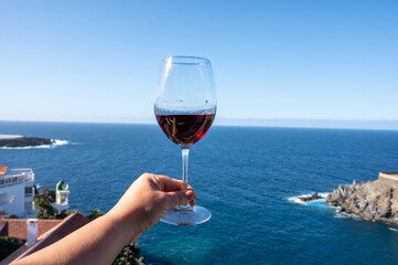 Wine making on bodegas wineries on volcanic soils of Mount Teide in Ycoden-Daute-Isora wine region on Tenerife, Canary islands winter sun vacation, Spain