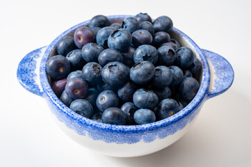 Blueberry antioxidant organic superfood forest berry