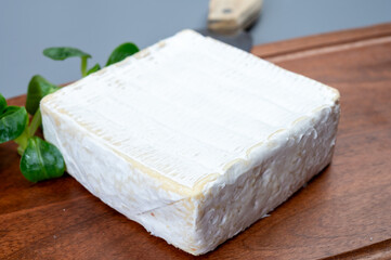French soft squared pont l'eveque cow cheese from Calvados department, Normandy, France