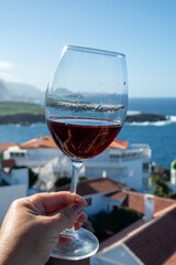 Wine making on bodegas wineries on volcanic soils of Mount Teide in Ycoden-Daute-Isora wine region on Tenerife, Canary islands winter sun vacation, Spain