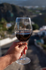 Wine making on bodegas wineries on volcanic soils of Mount Teide in Ycoden-Daute-Isora wine region...