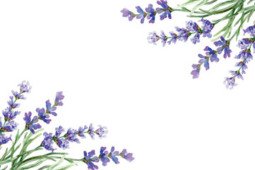 Frame with lavender flowers in the corners, watercolor. Hand drawn vector illustration. For the design of greeting cards, invitations, labels, banners, posters.