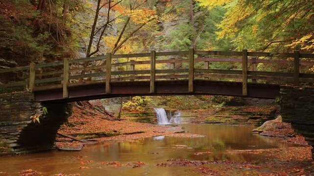 Stunning 4K shot of a wooden bridge covered with colorful autumn leaves at Buttermilk Falls State Park, Ithaca, NY, blending peaceful nature with seasonal beauty