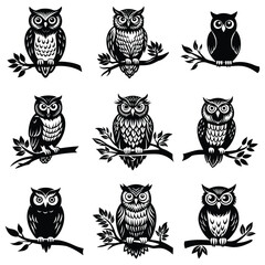Owl Silhouette on Branch, Owl sitting on a tree branch vector silhouette an white background