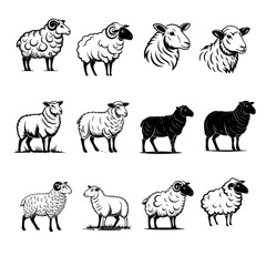 Fototapeta premium Sheep silhouette illustration bundle vector Style with white background