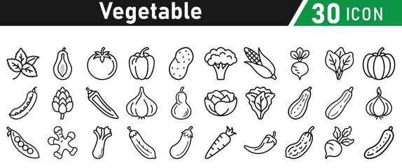 Vegetable line icon set. Vector isolated vegetables and fruits