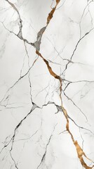 Elegant white marble with gold cracks
