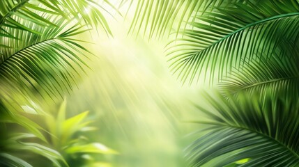 Palm Fronds and Sunlight Shining Through Lush Tropical Forest Canopy