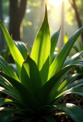 Obraz premium detailed close vibrant yucca plant leaves showcasing lush green colors intricate textures splendor, foliage, growth, tropical, beauty, sunlight, outdoor