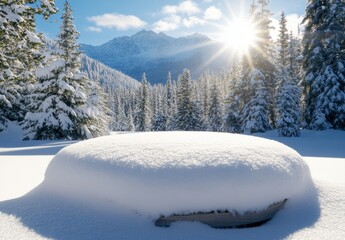 Obraz premium Snowy Landscape with Sunlight Illuminating Frosty Trees and Ground