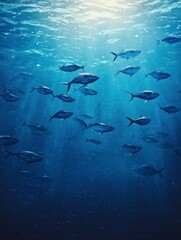 Fototapeta premium School of Fish Swimming in Deep Blue Ocean with Sun Rays
