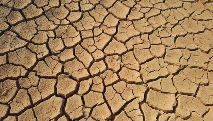 A detailed closeup image showcasing a cracked ground in an arid desert