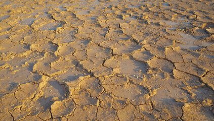 Here is a detailed closeup image showing cracked ground in the desert