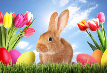 Easter eggs, cute fluffy rabbit and spring tulips on green grass under blue sky