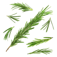 Fresh green rosemary isolated on white, set