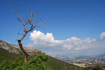 Krajobraz