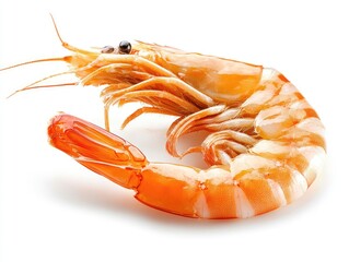 Fresh shrimp, isolated on white background, food photography