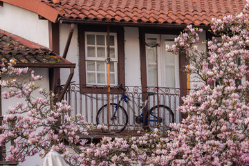 A charming European balcony with a vintage wrought iron railing is partially hidden behind delicate...