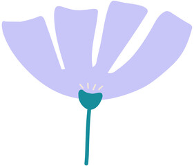 lavender color flower isolated