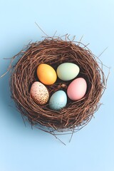 Pastel Easter Eggs in Bird Nest Spring Background