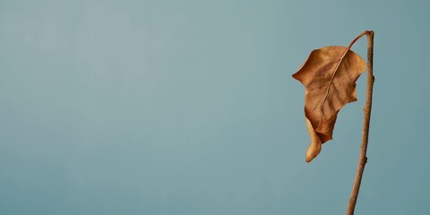 An artistic close-up of a dry leaf clinging to a twig, symbolizing resilience and the beauty of nature, set against a minimalistic blue background.