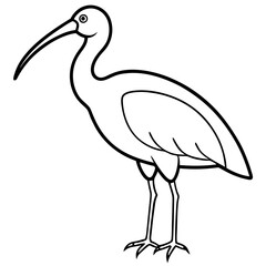 Obraz premium a stylized black and white illustration of an ibis bird with a long, curved beak