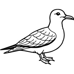 Obraz premium a simple illustration of a seagull, a detailed line art of a bird profile vector illustration
