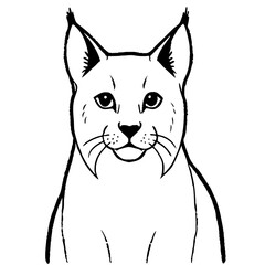 Obraz premium a monochrome illustration of a lynx, staring directly at the viewer, its features clearly defined