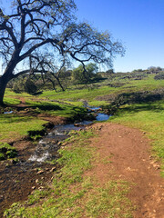 Fototapeta premium river on the mountain