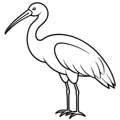 Obraz premium a graceful ibis bird drawn with bold outlines against. The bird has a long, curved beak vector illustration