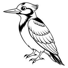 a detailed monochrome illustration of a woodpecker, showcasing its sharp beak, intricate feathers, and alert posture. This artwork highlights the bird's elegance and natural beauty.