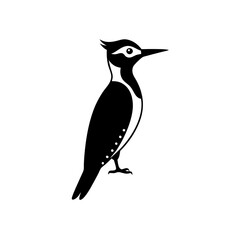 Obraz premium a black and white vector illustration of a woodpecker. The bird is shown in a side profile