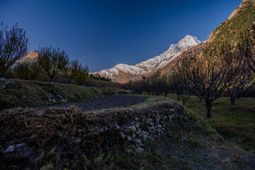 Serene Orchard with Snow-Capped Himalayan Peaks in Marpha, Nepal