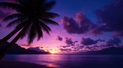Tropical sunset over a tranquil beach. Palm trees silhouette against vibrant colors