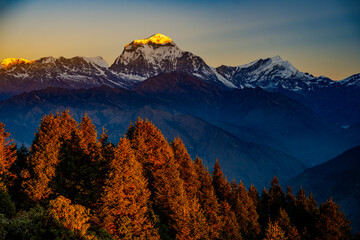 Stunning Sunrise Over Mount Dhaulagiri