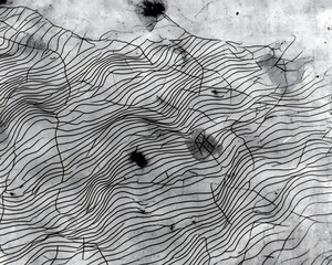 Abstract Terrain Lines for Grunge Texture.