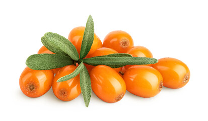 Sea buckthorn. Fresh ripe berry with leaves isolated on white background macro