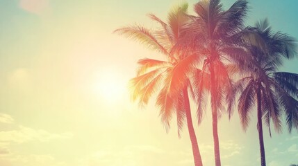 Obraz premium Tropical Sunset Palm Trees