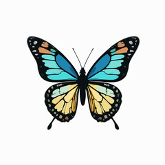 Naklejka premium Blue and Yellow Butterfly Illustration. Vector image
