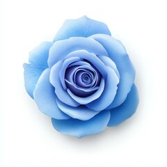 A stunning blue rose blooms beautifully, its delicate petals isolated against a crisp white background, perfect for any design.