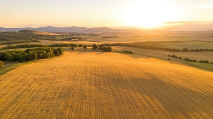 Obraz premium Golden Field at Sunset Aerial View with Distant Mountains