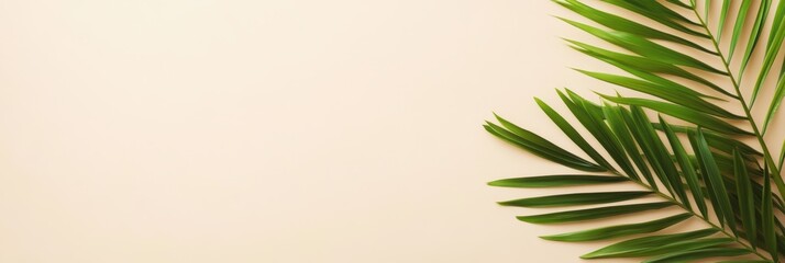Fototapeta premium Green leaf on white background with space for text, ideal for nature themes and designs.